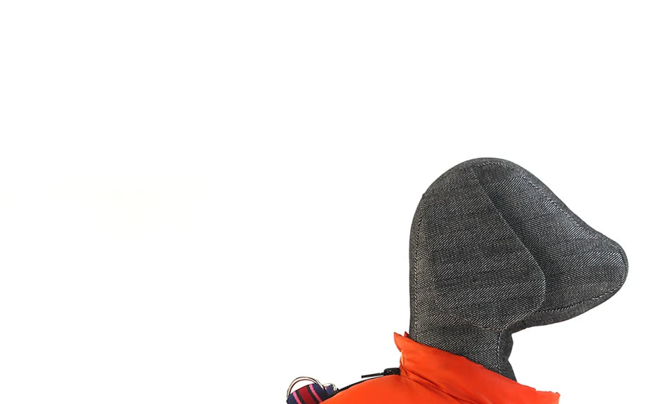 Winter Dog Clothes, Warm Reflective Jacket for Small Dogs