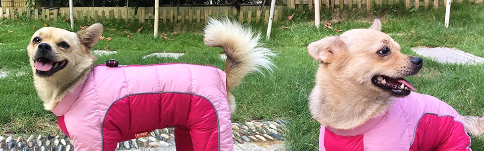 Winter Dog Clothes, Warm Reflective Jacket for Small Dogs