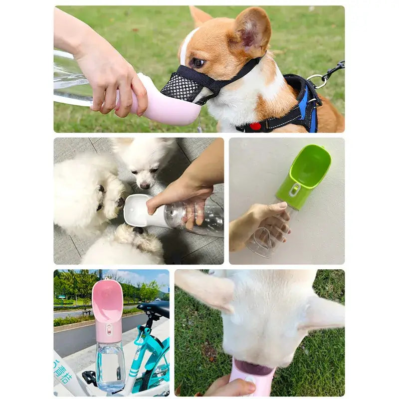 2-in-1 Portable Pet Water Bottle with Food Dispenser