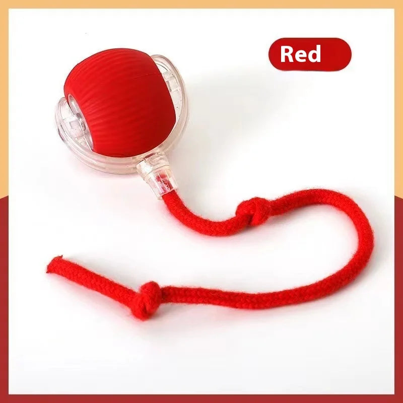 Smart Rechargeable Pet Ball