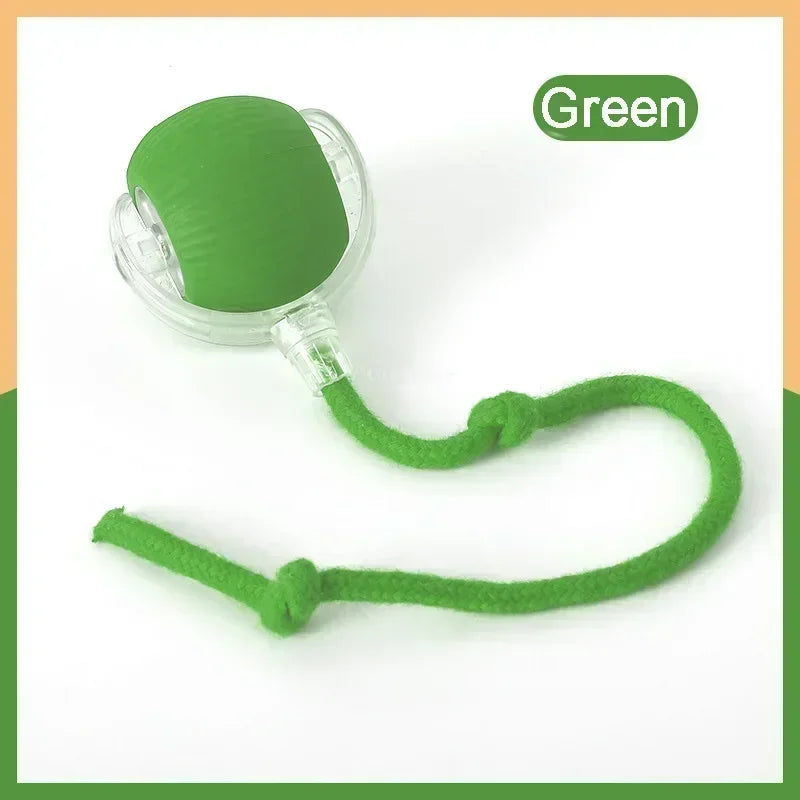 Smart Rechargeable Pet Ball