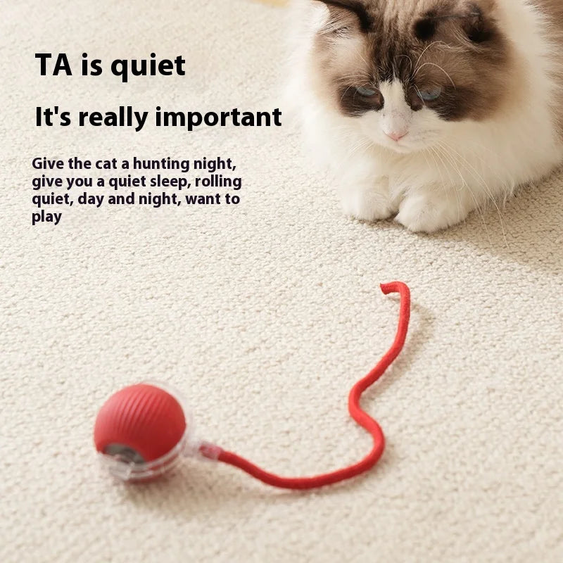 Smart Rechargeable Pet Ball