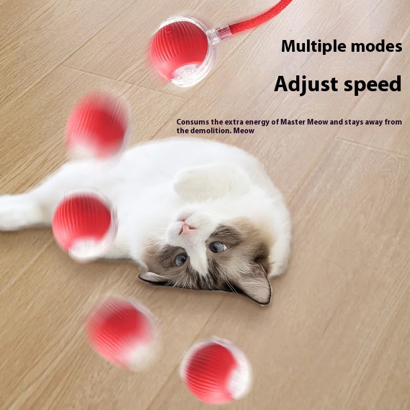 Smart Rechargeable Pet Ball