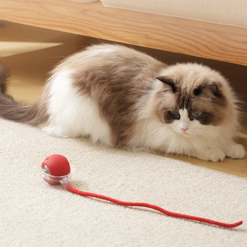 Smart Rechargeable Pet Ball
