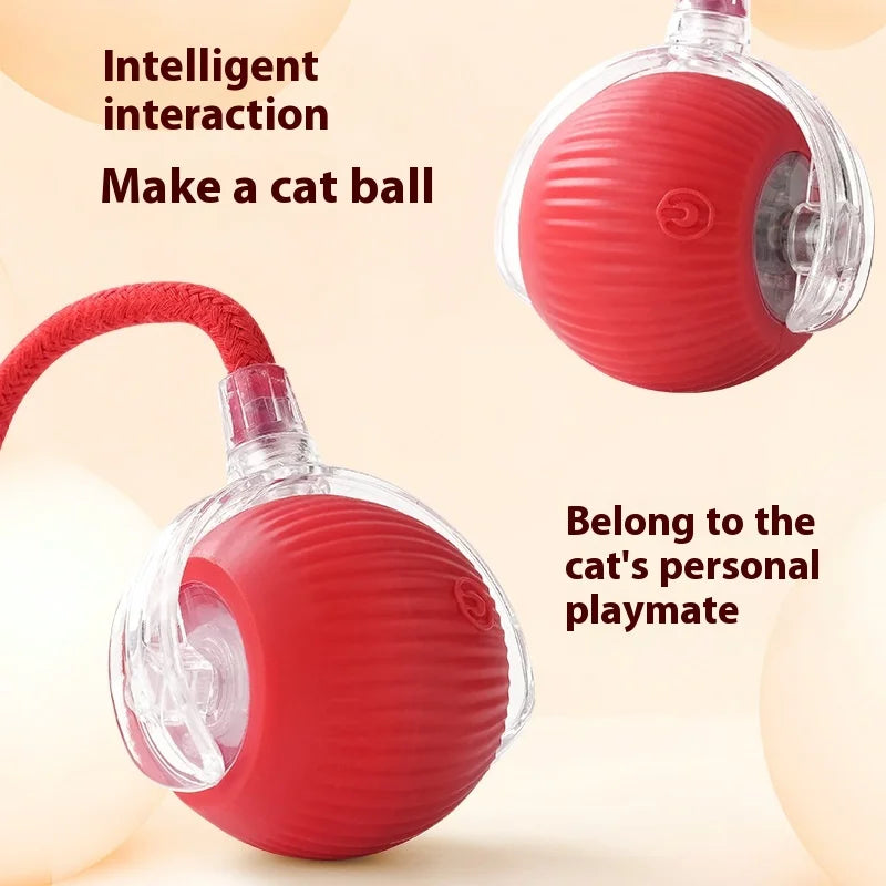 Smart Rechargeable Pet Ball