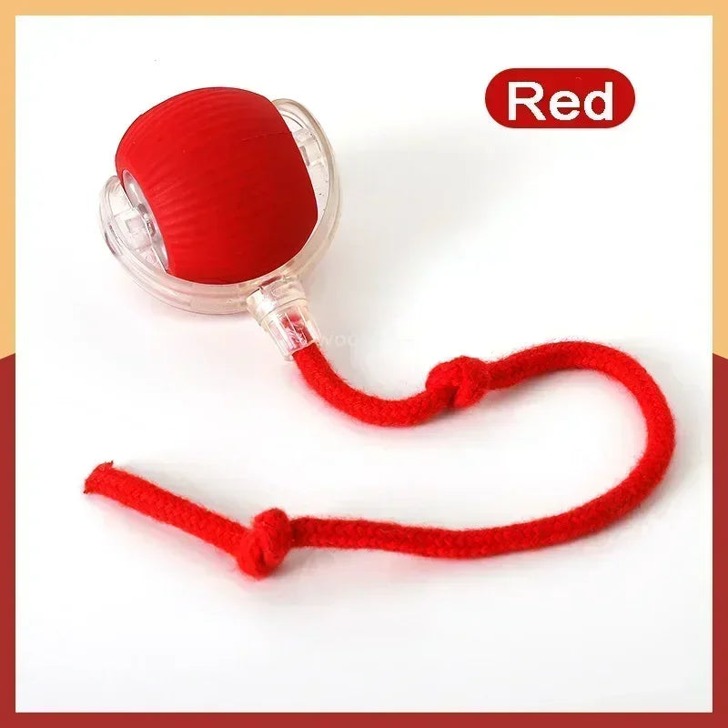 Smart Rechargeable Pet Ball