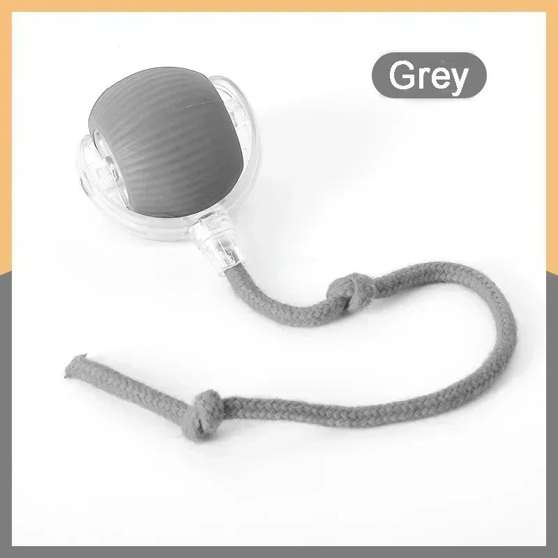 Smart Rechargeable Pet Ball