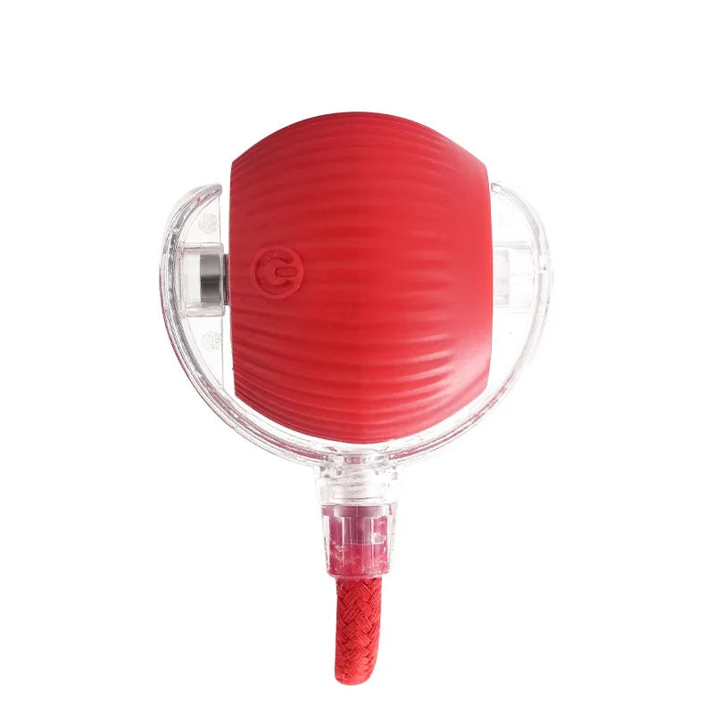 Smart Rechargeable Pet Ball