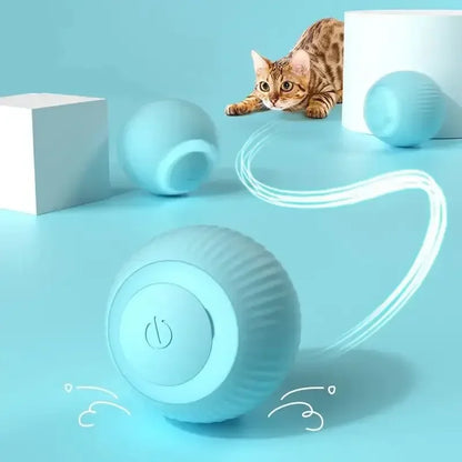 Rechargeable Motion Cat Ball