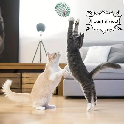 Stretchable Cat Toy Balls, Interactive Rolling Toys for Kittens