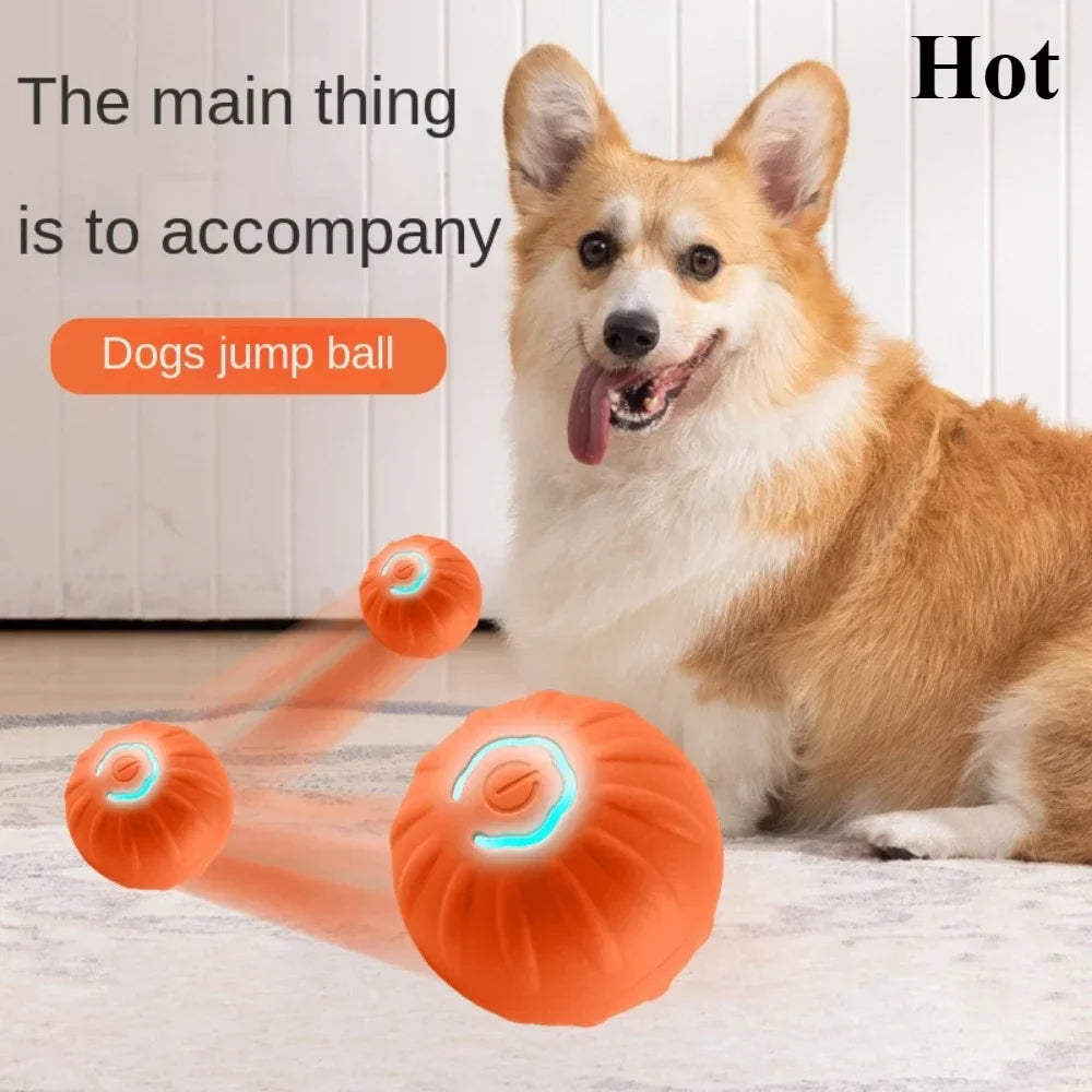 Smart Dog Toy Ball, Automatic Rechargeable Rolling Ball for Pets