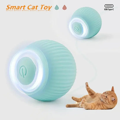 Rechargeable Motion Cat Ball