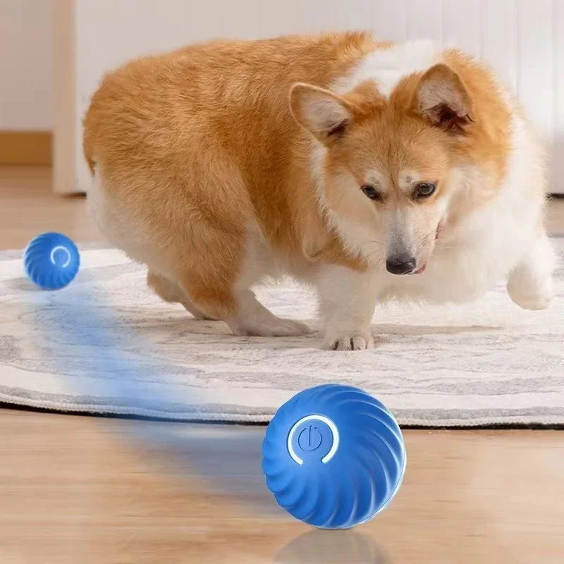 Smart Dog Toy Ball, Automatic Rechargeable Rolling Ball for Pets